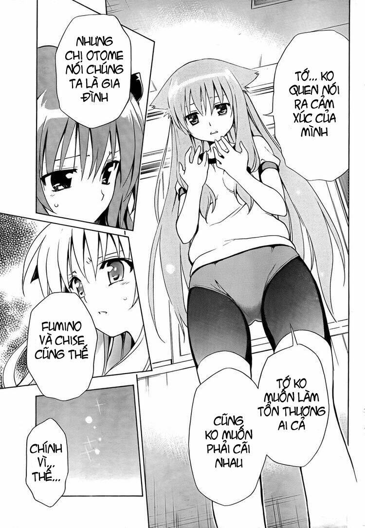 mayoi neko overrun! chapter 6 37