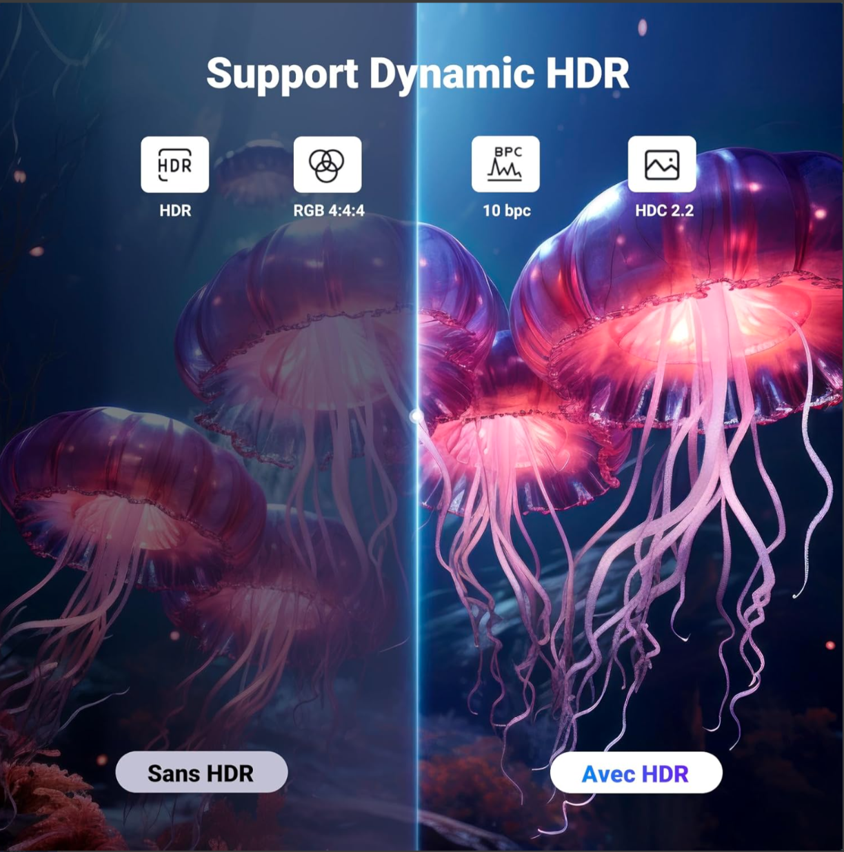 Cáp Displayport 1.4 dài 1m /2m/3m Ugreen hỗ trợ 8K@60Hz - Hàng chính hãng