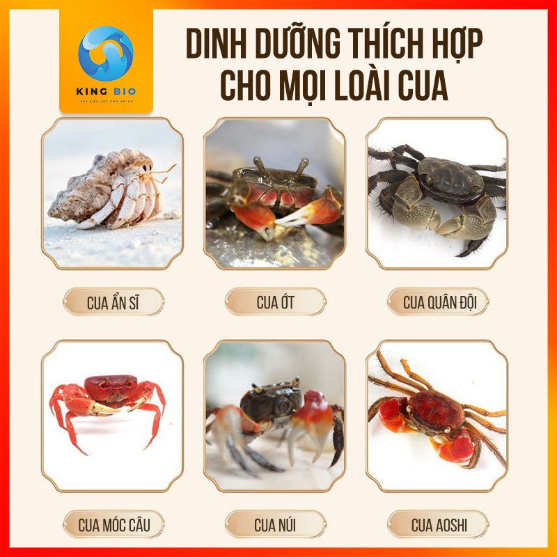 Cám Yee Crab Food – Thức ăn cân bằng dinh dưỡng cho Cua Cảnh, Ốc Mượn Hồn