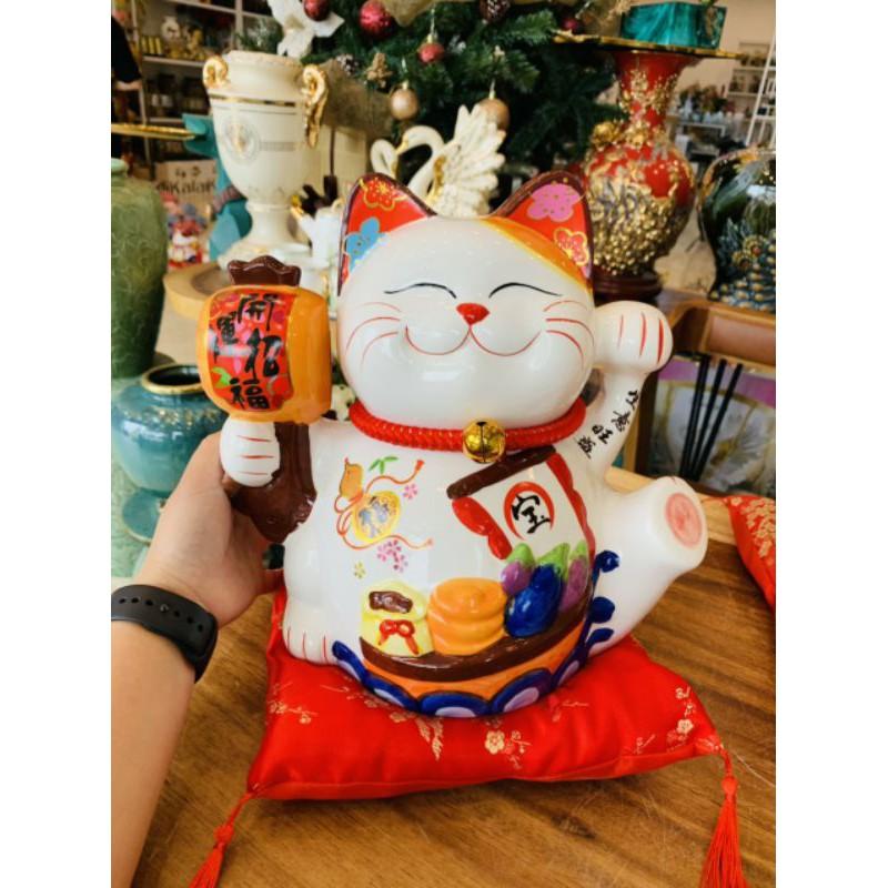 Mèo may mắm không vẫy