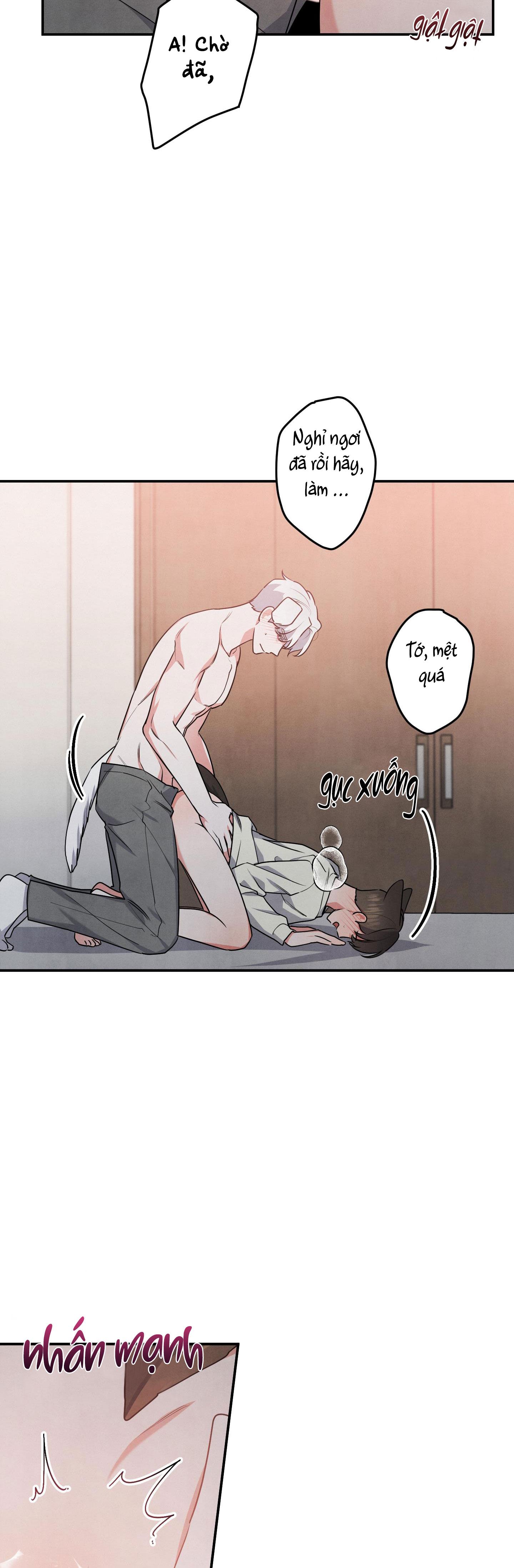 mối quan hệ ngu ngốc chapter 30 12