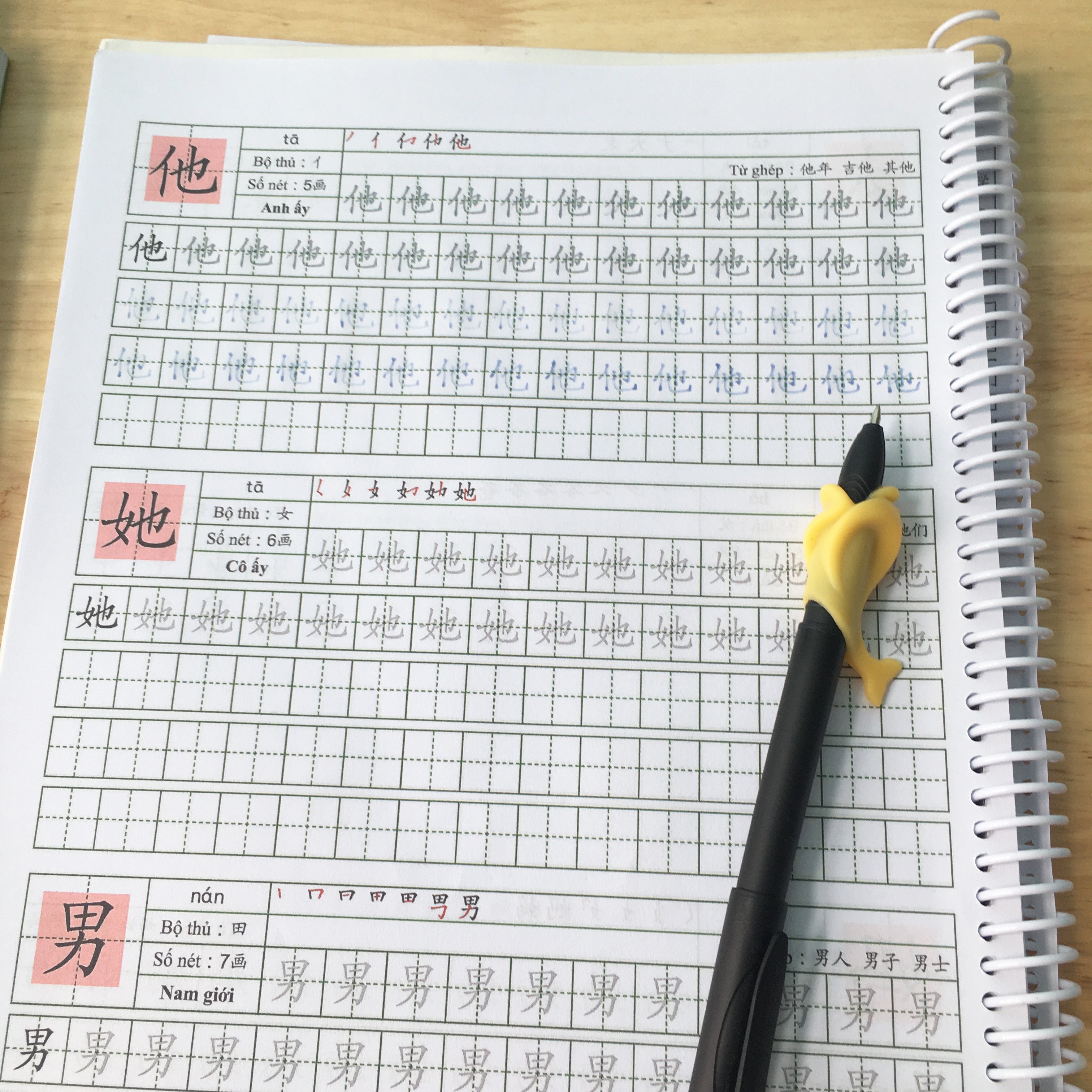 Bộ bút tự bay mực 20 ngòi 1 vỏ 1 đệm luyện viết cho bé, luyện viết chữ Hán-Nhật-Hàn