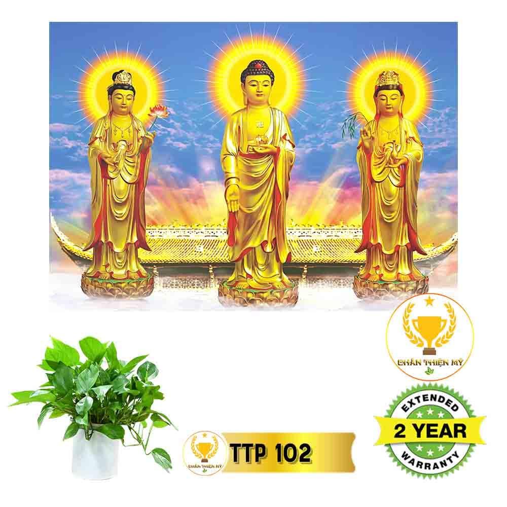 Tranh điện Tam Thế Phật_TTP10