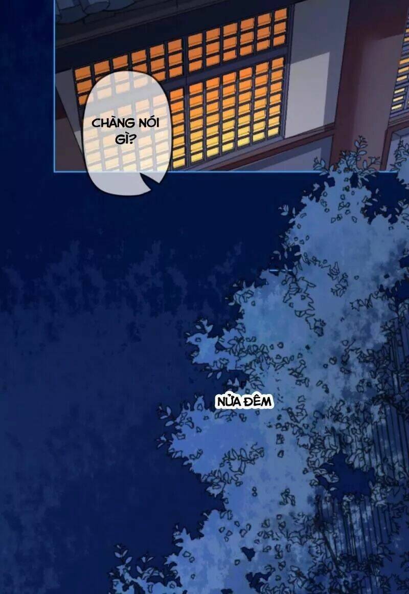 sủng phi của vương chapter 146 4