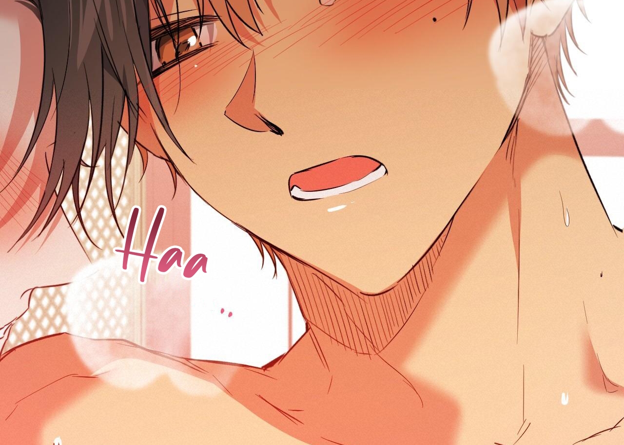 đàn thỏ của habibi chapter 63 160