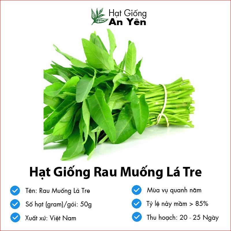 Hạt giống Rau Muống hoạch sớm, dễ trồng, nảy mầm cao