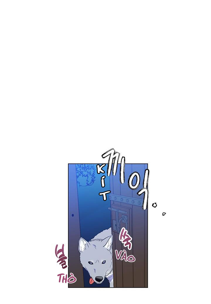 elizabeth chapter 11 60