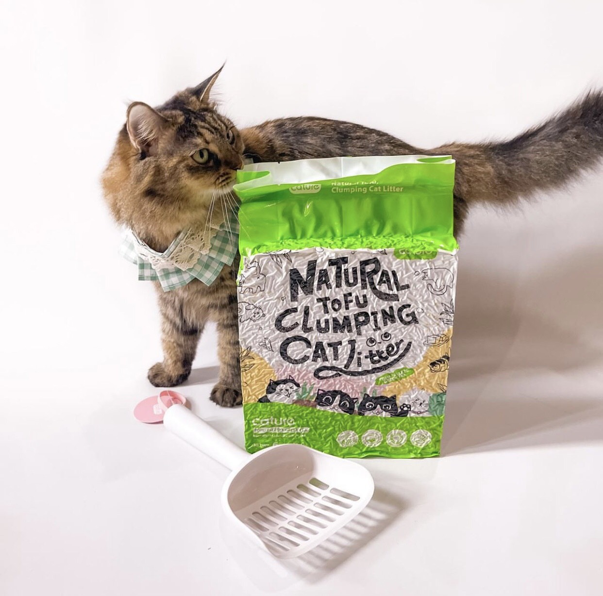 Cát đậu nành Cature Tofu 6L ( 2.4kg ) - Natural Tofu Clumping Cat Litter