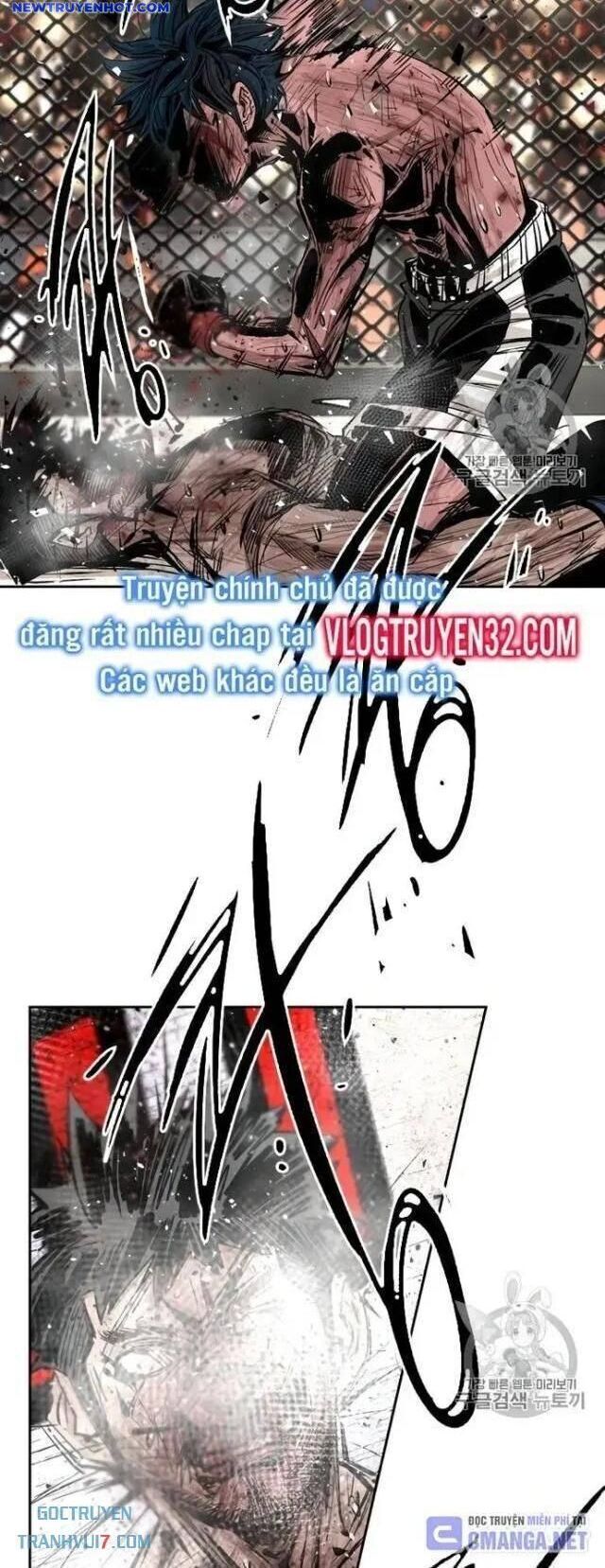 shark - cá mập chapter 164 13