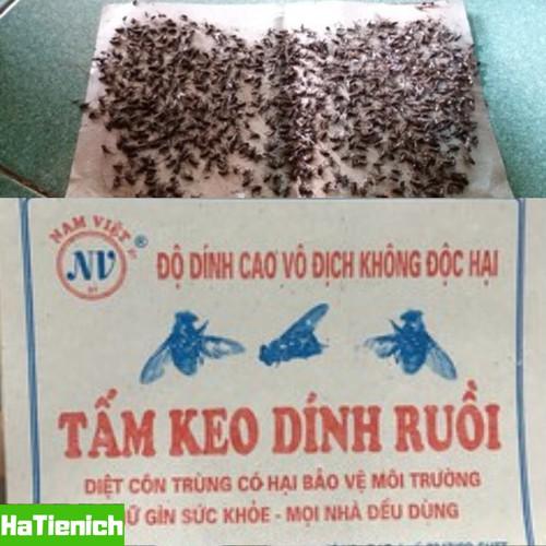 1 miếng keo dính ruồi, siêu dính, không độc hại