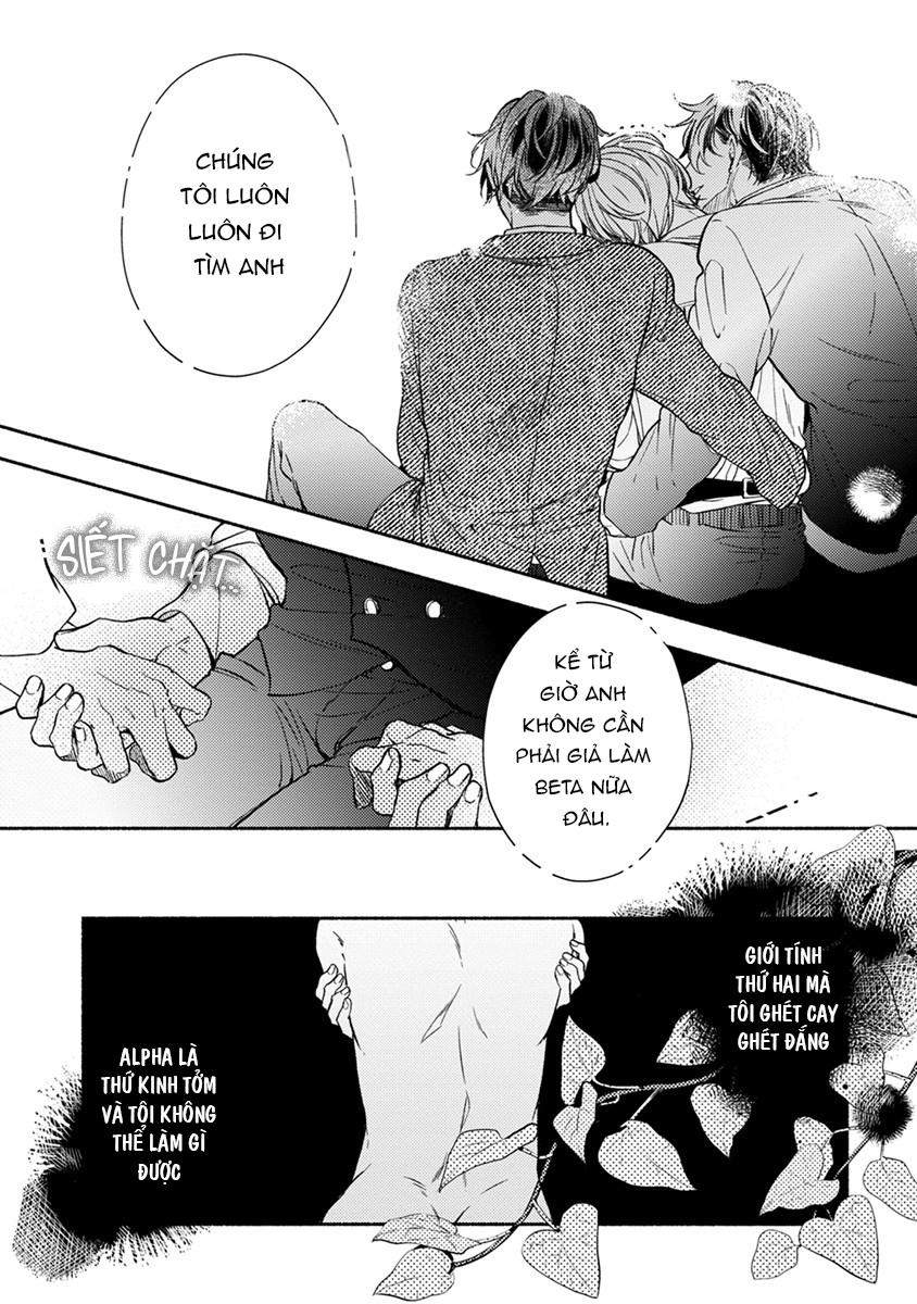 omega giả vờ kiên cường đó là bạn tình của tôi chapter 1 44