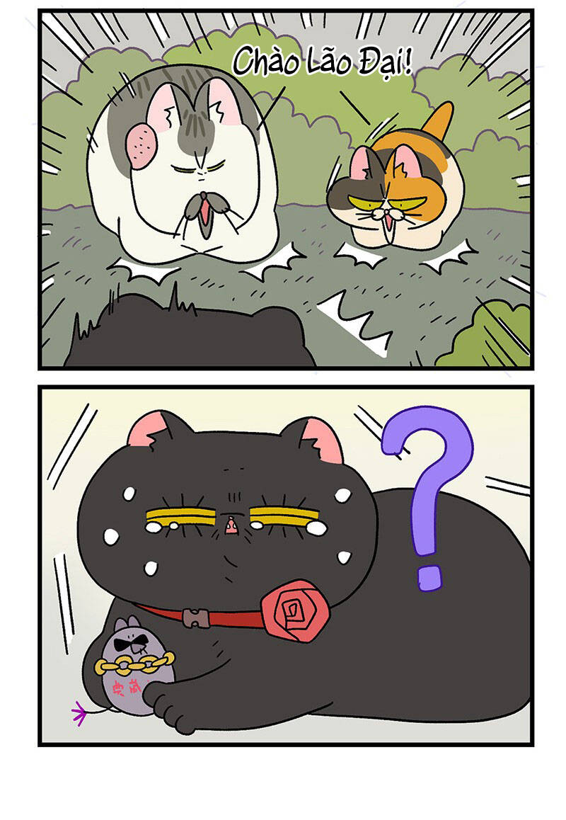 a mãn và mạch trà chapter 37.1 6