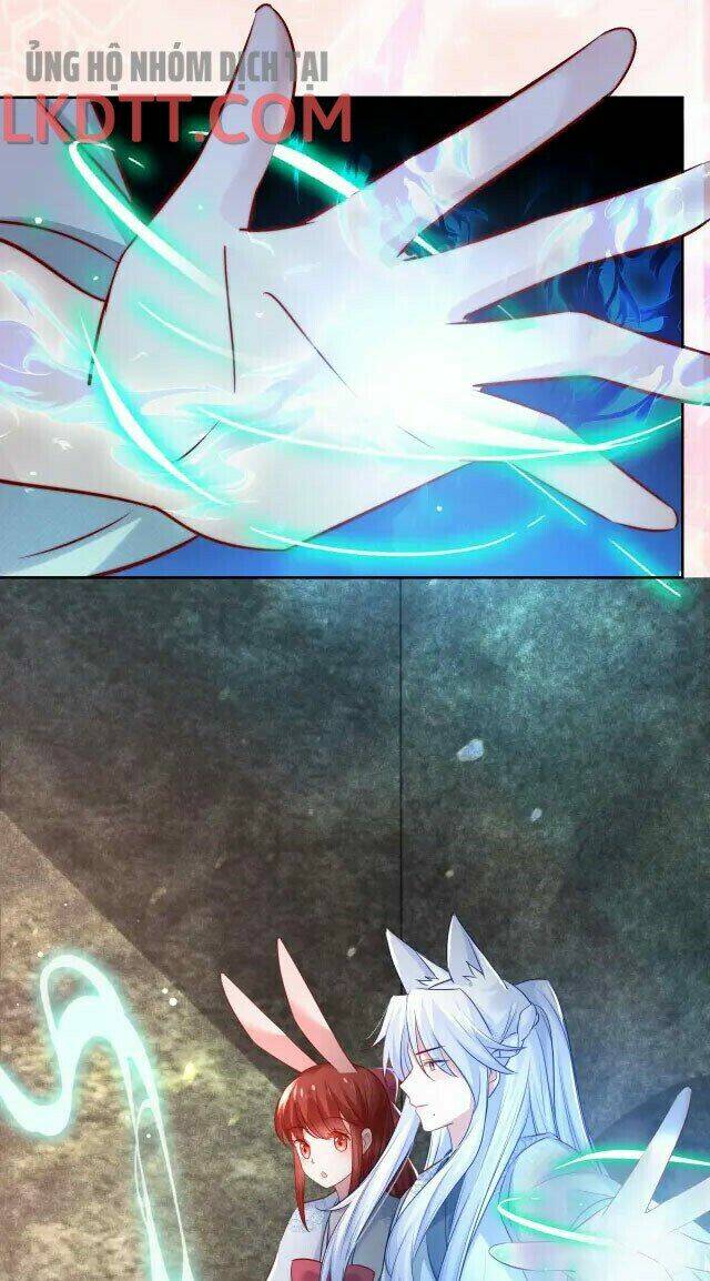 hắc hóa nam chính trực tuyến nuôi thỏ chapter 26 11