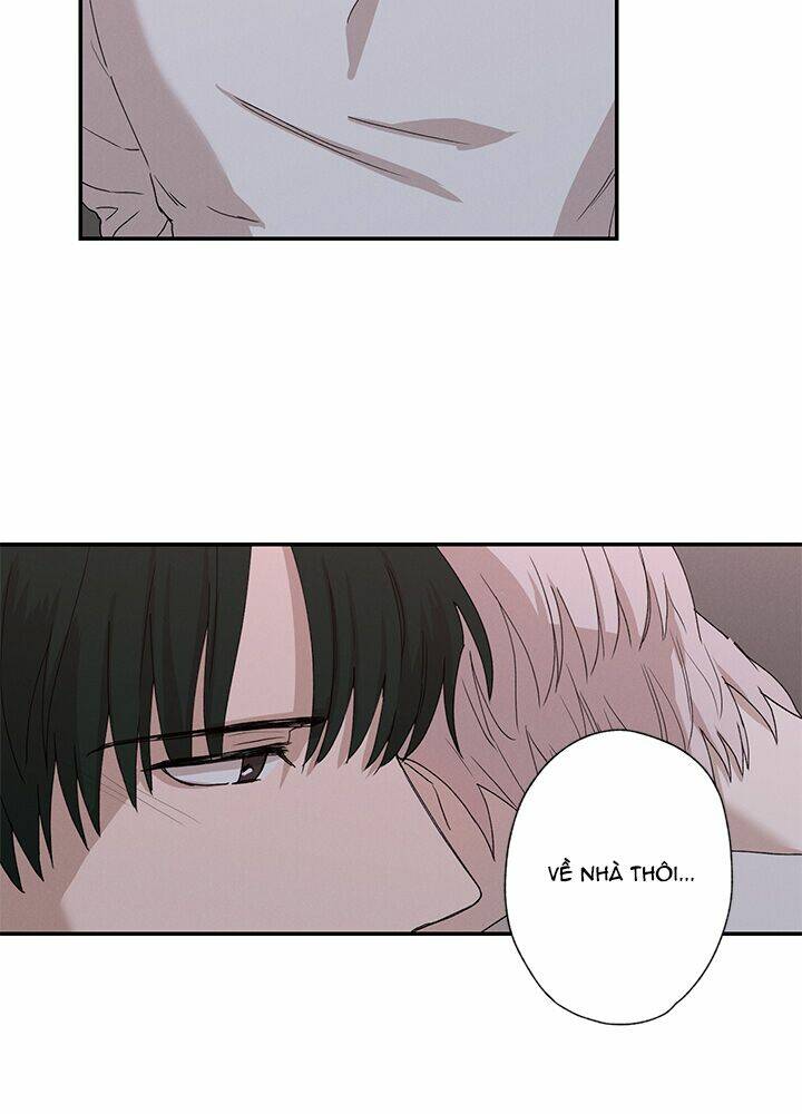 trốn tìm chapter 22 33