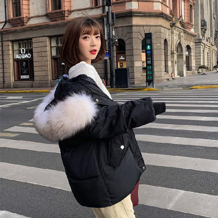 Áo Khoác Phao Mũ Lông Nữ