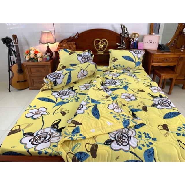 Drap thun hàn quốc