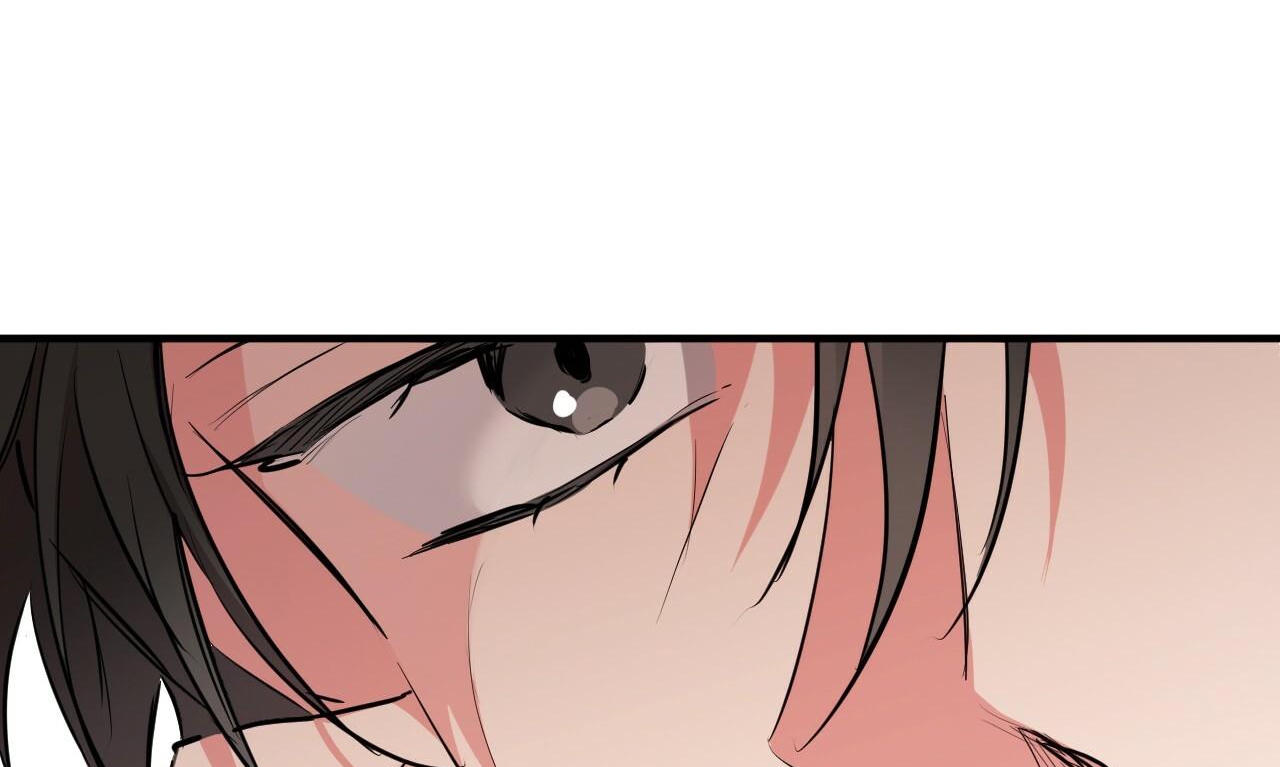 đàn thỏ của habibi chapter 35 135