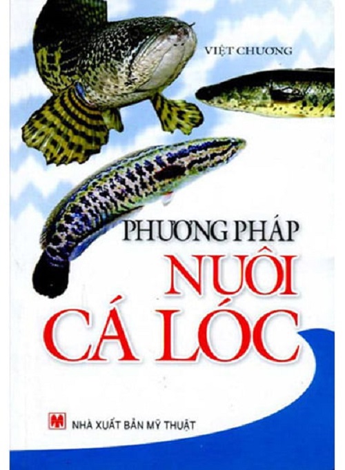 Phương Pháp Nuôi Cá Lóc - VL
