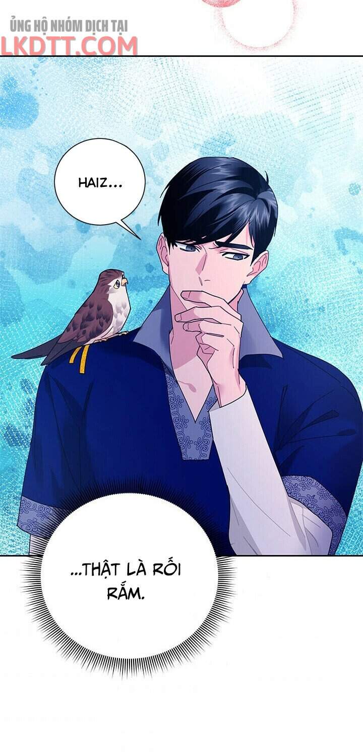 công chúa của loài chim chapter 36 42