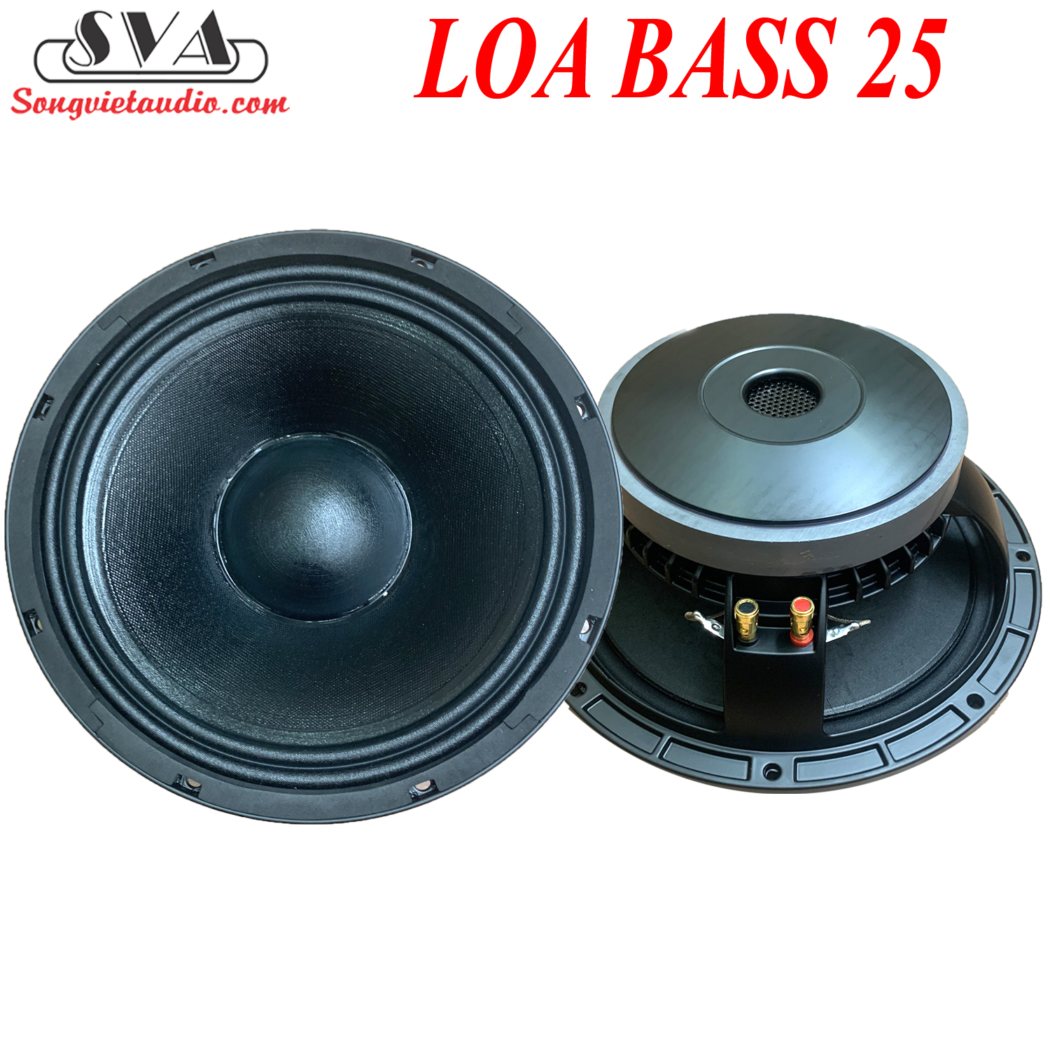 LOA BASS 25 COIL 65 TỪ 156 - AZ20 - 1 CẶP