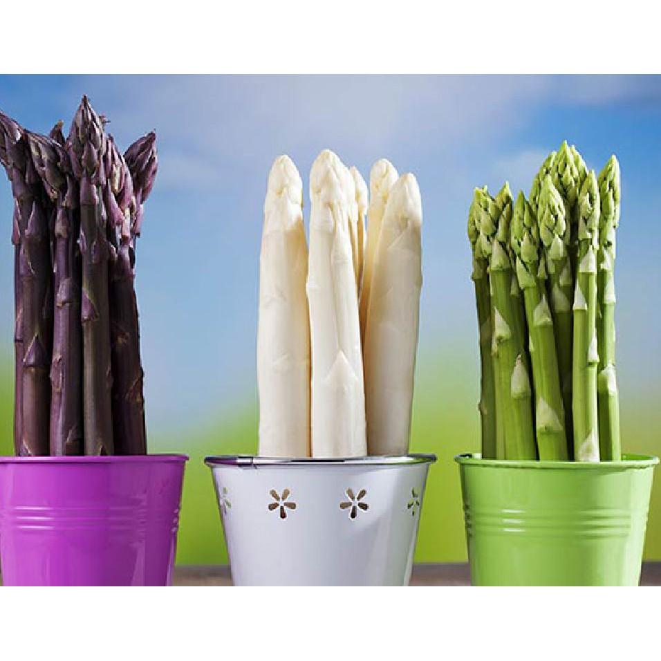 COMBO 3 loại măng tây - Kèm gói kích hạt nảy mầm