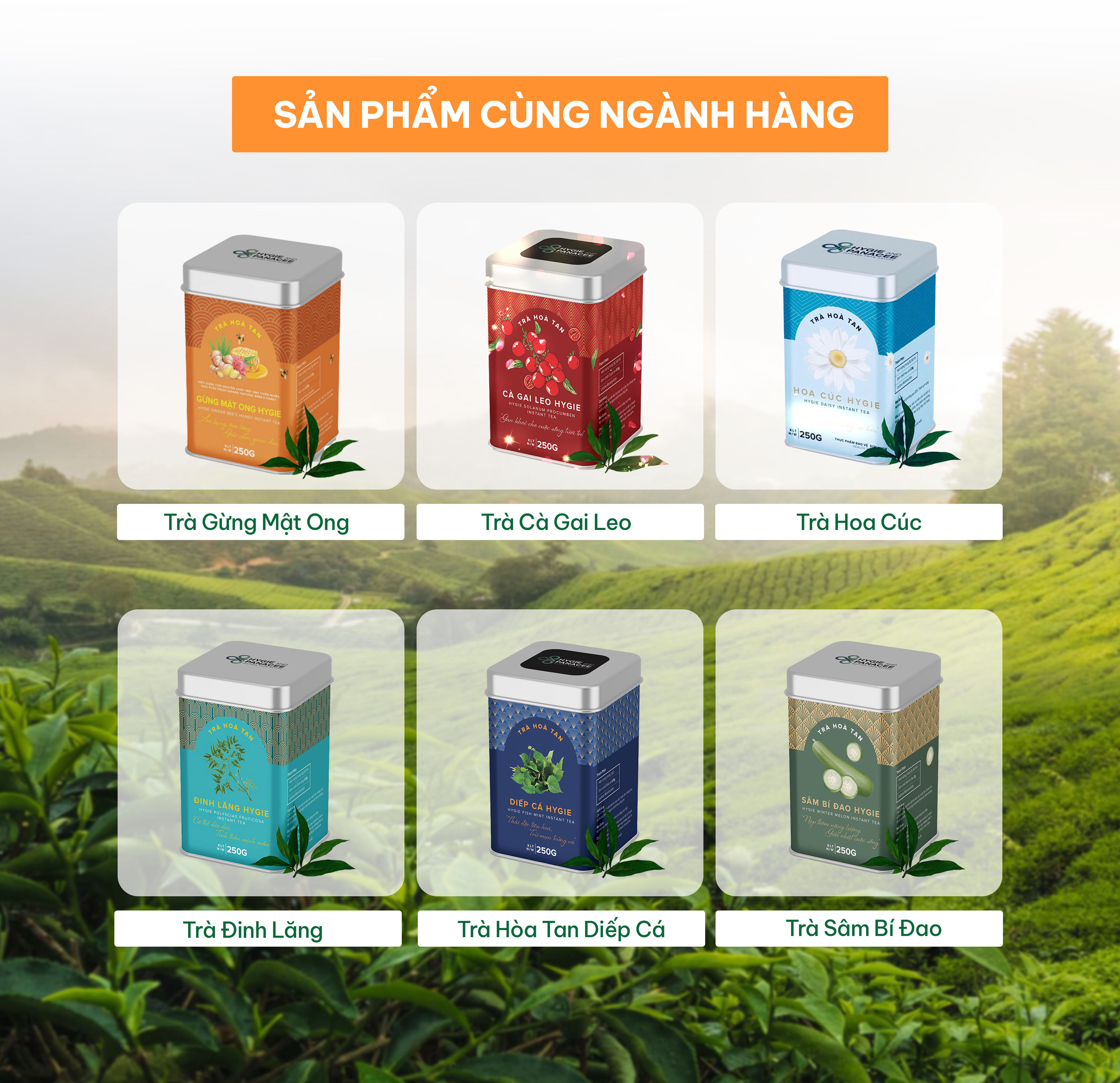 Trà Gừng Chanh Sả Hygie 250g tăng sức đề kháng, detox cơ thể