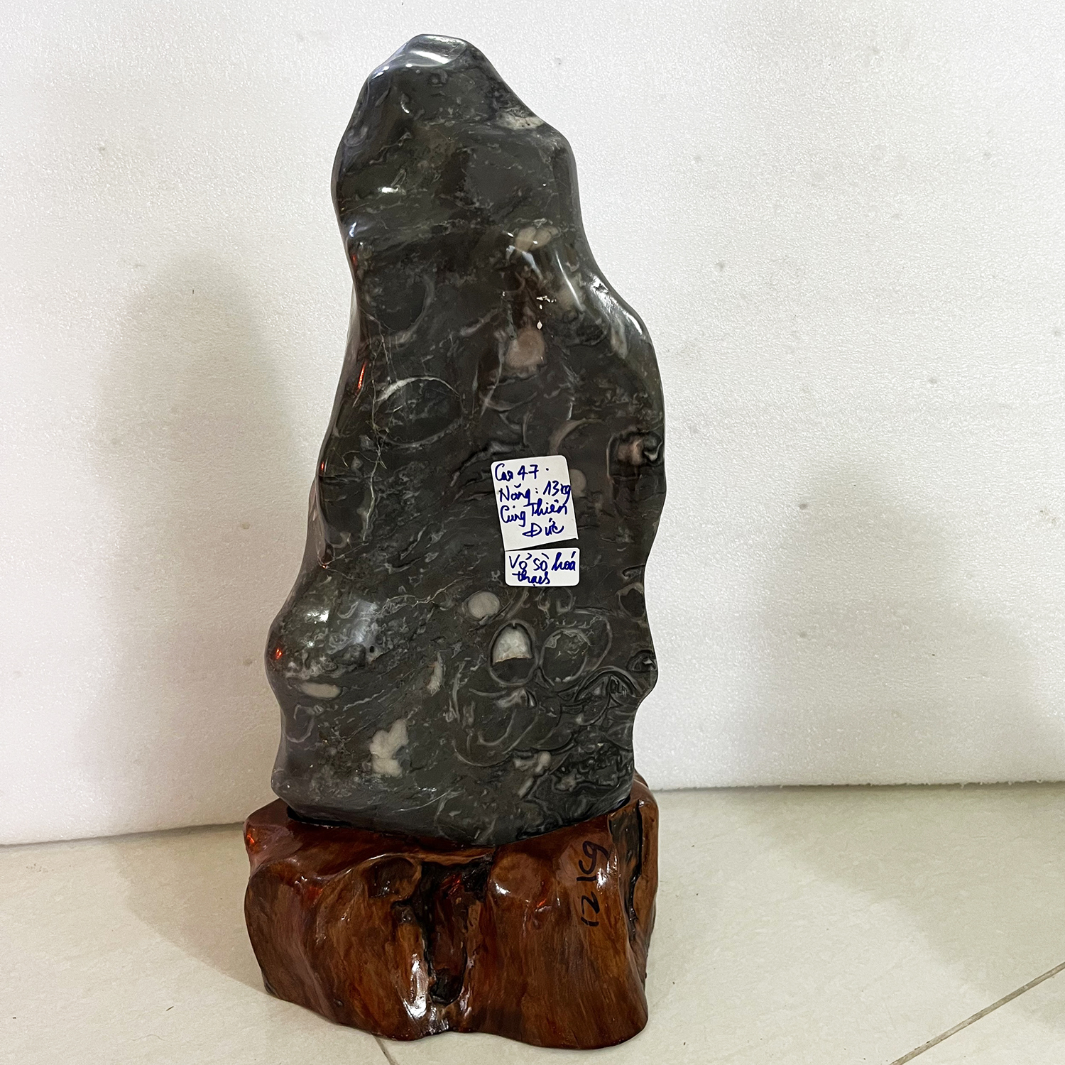 Cây đá tự nhiên VỎ SÒ HÓA THẠCH cho người mệnh Mộc và Thủy cao 47 nặng 13 kg cả chân đế