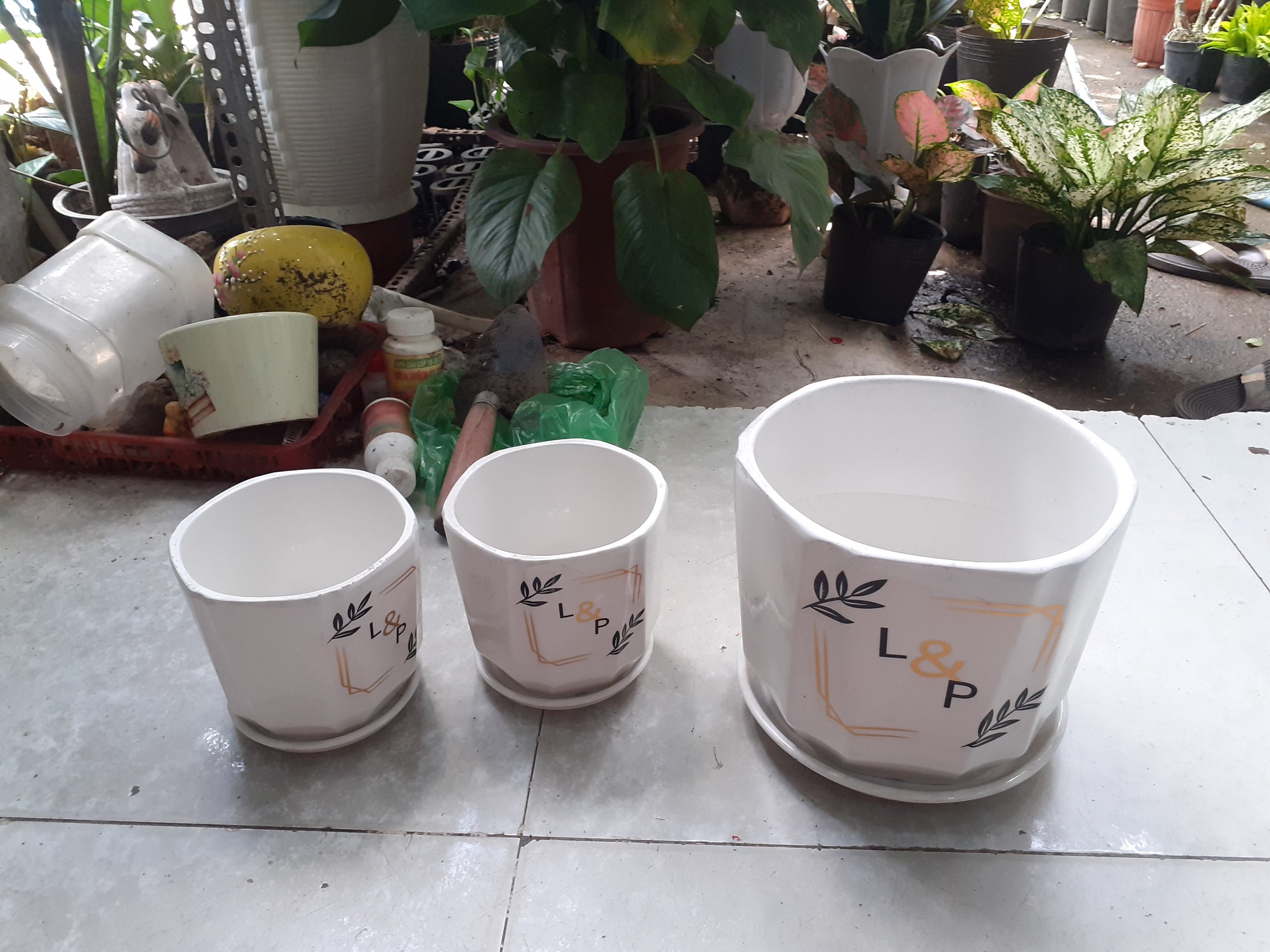 BỘ 3 Chậu kèm dĩa LỤC GIÁC TIKER L&P.