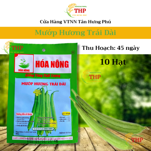 Hạt giống Mướp Hương Trái Dài | Hạt Giống | gói 10 hạt