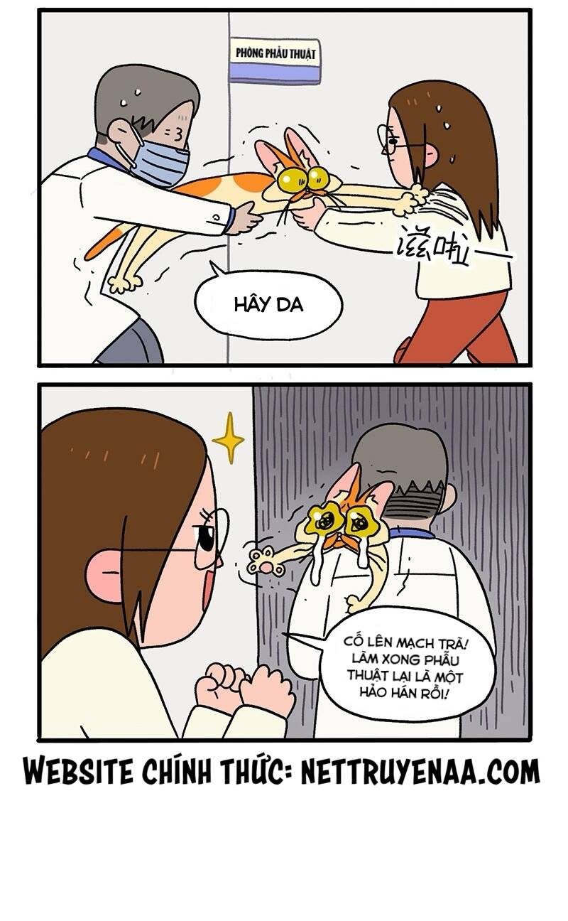 a mãn và mạch trà chapter 13.1 6