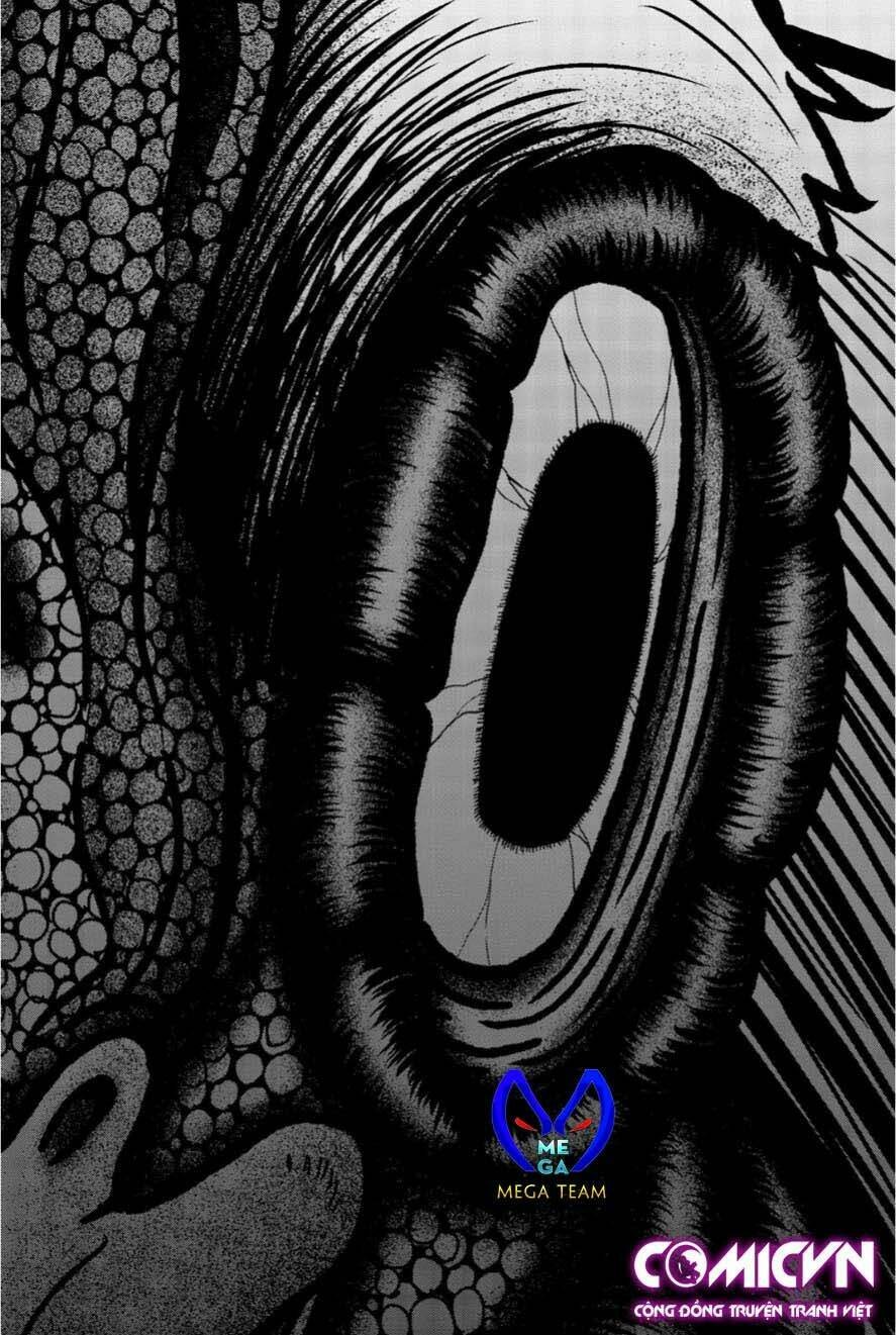 tiếng gáy sát thủ chapter 12 19