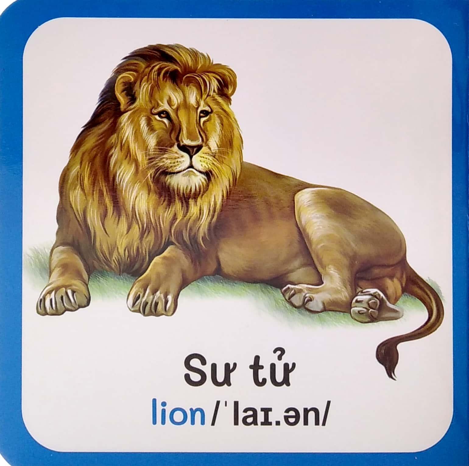 Từ Điển Bằng Hình Đầu Tiên Của Bé - Baby'S First Picture Dictionary - Wild animals - Động Vật Hoang Dã