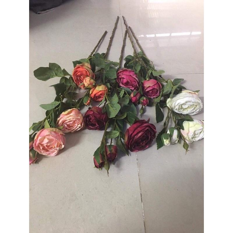 Hồng 2 bông 3 nụ