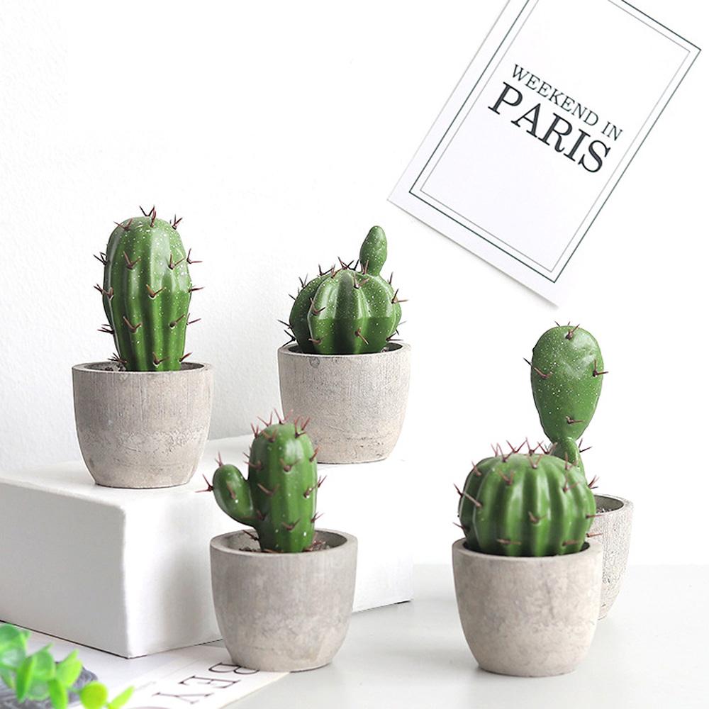 Cây Xương Rồng Giả Trang Trí Sân Vườn