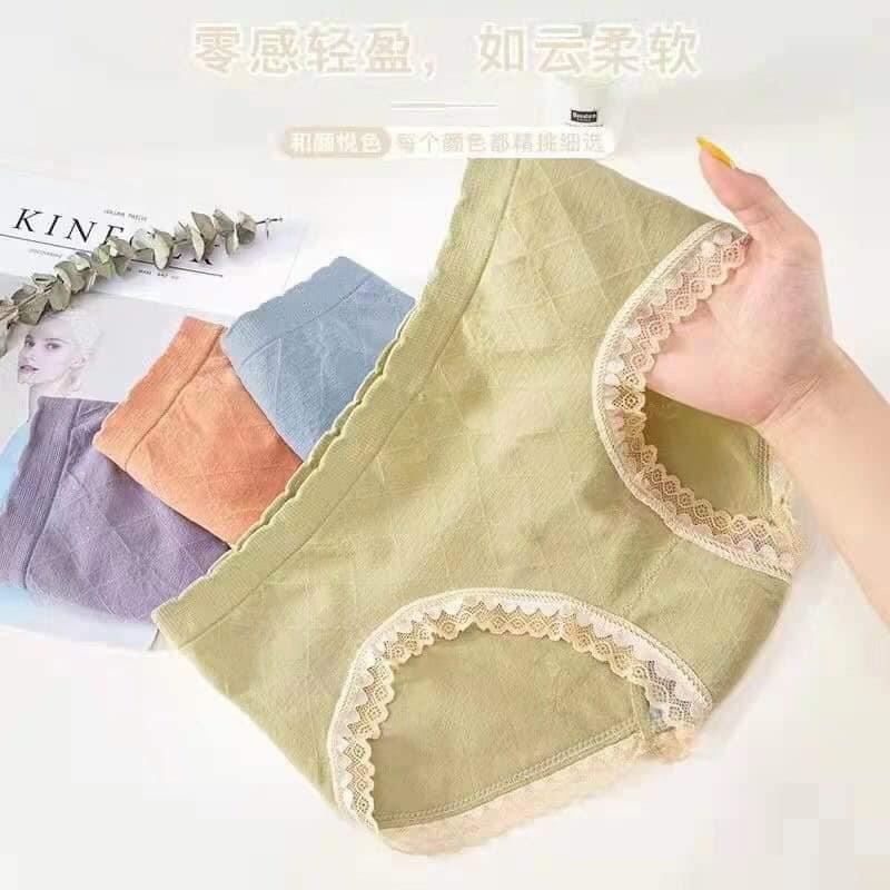 Set 5 quần chip cotton ren dễ thương