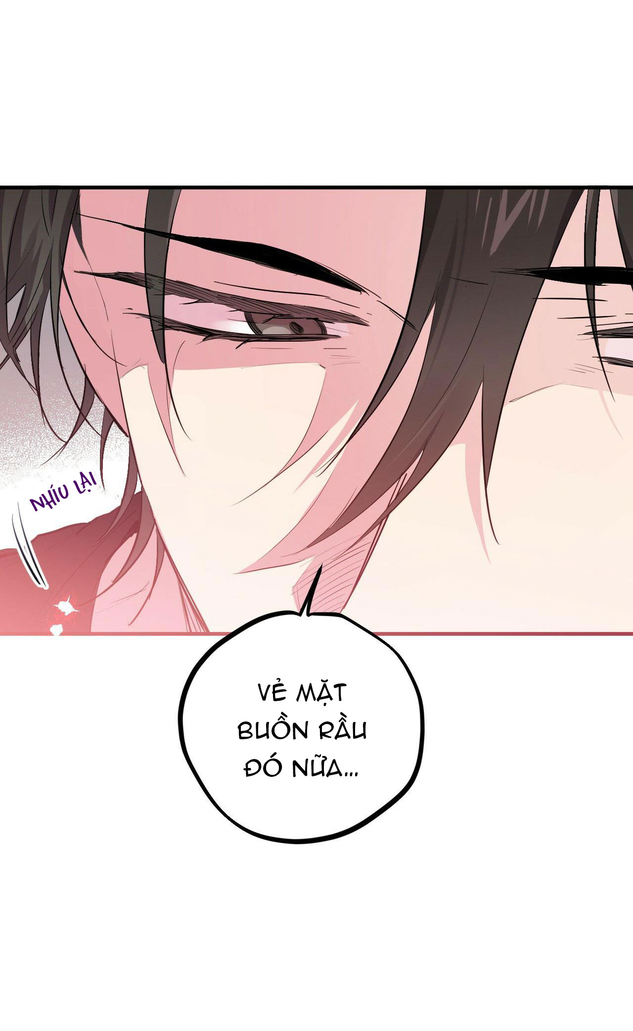 những chú thỏ của hapypy chapter 13 55