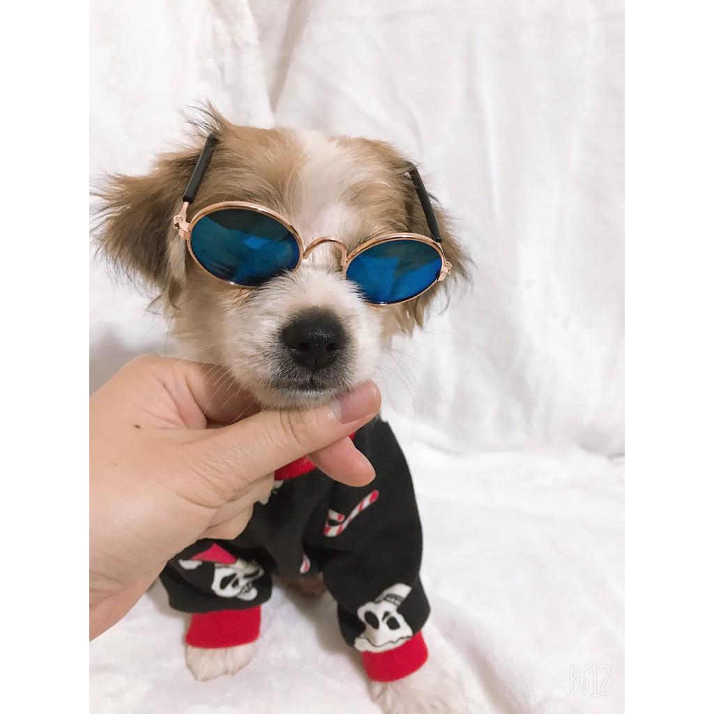 Áo hè cho chó mèo hình đầu lâu