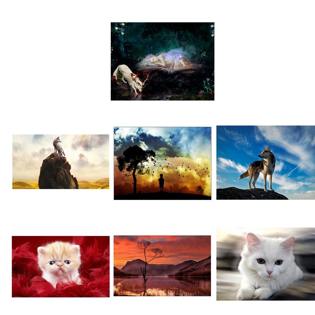 DIY 5D Diamond Painting Kit for adults Embroidery Animal Cross Stitch Kit Art Home Decor