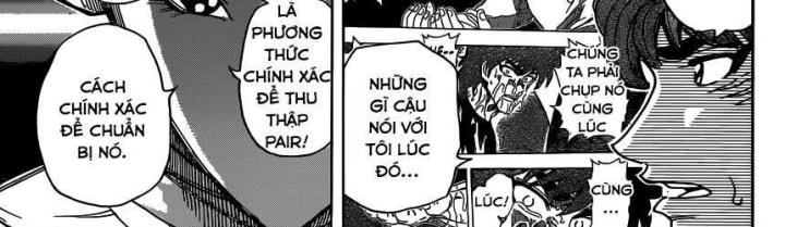 thánh tỏi sành ăn chapter 320 9