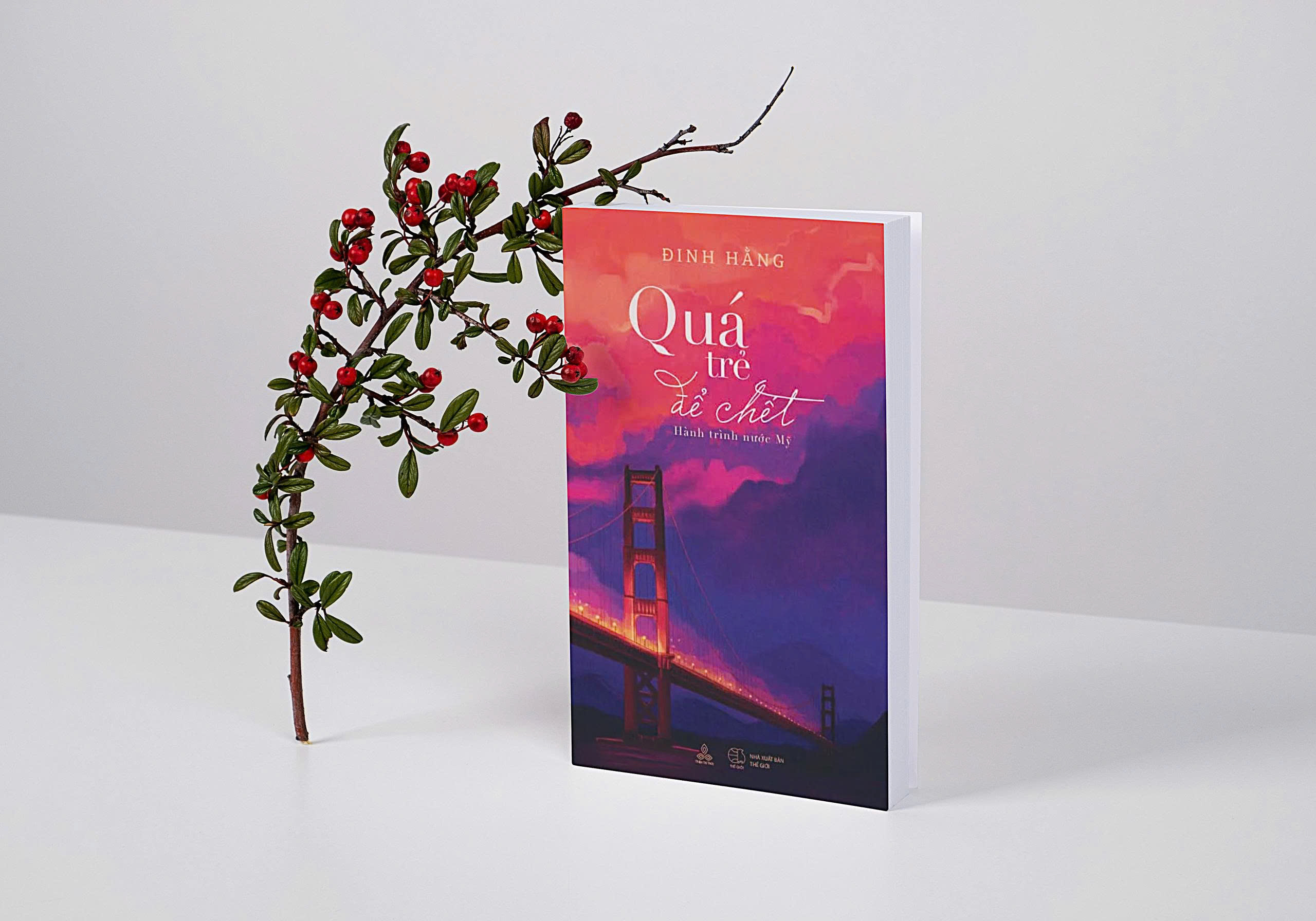 Sách - Quá trẻ để chết tác giả Đinh Hằng