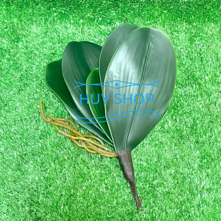 Bụi Lá LAN, hoa Điểm trang trí BACKGROUND
