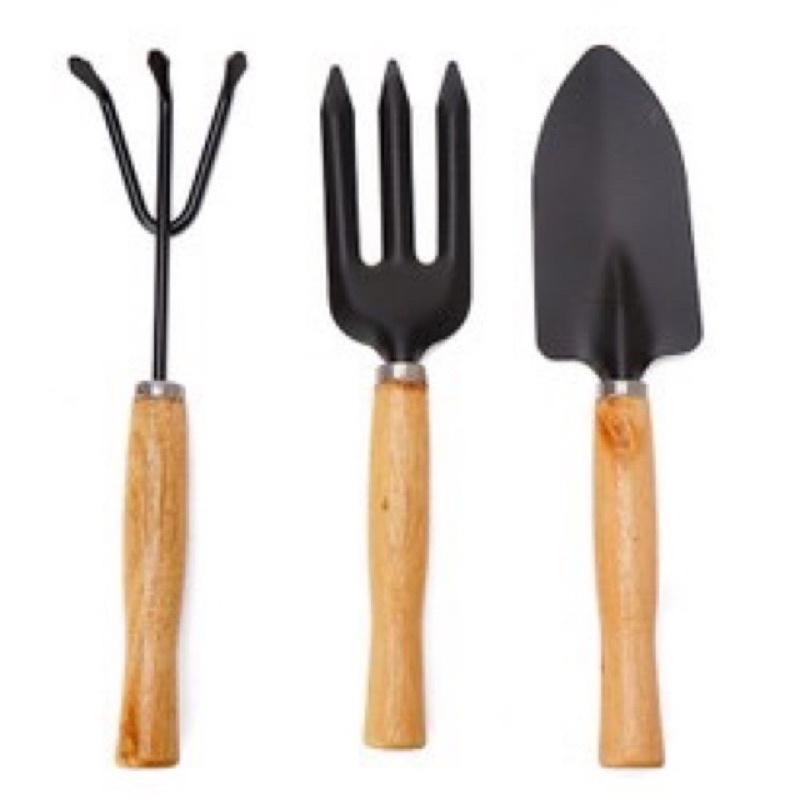 Bộ dụng cụ làm vườn mini 3 món