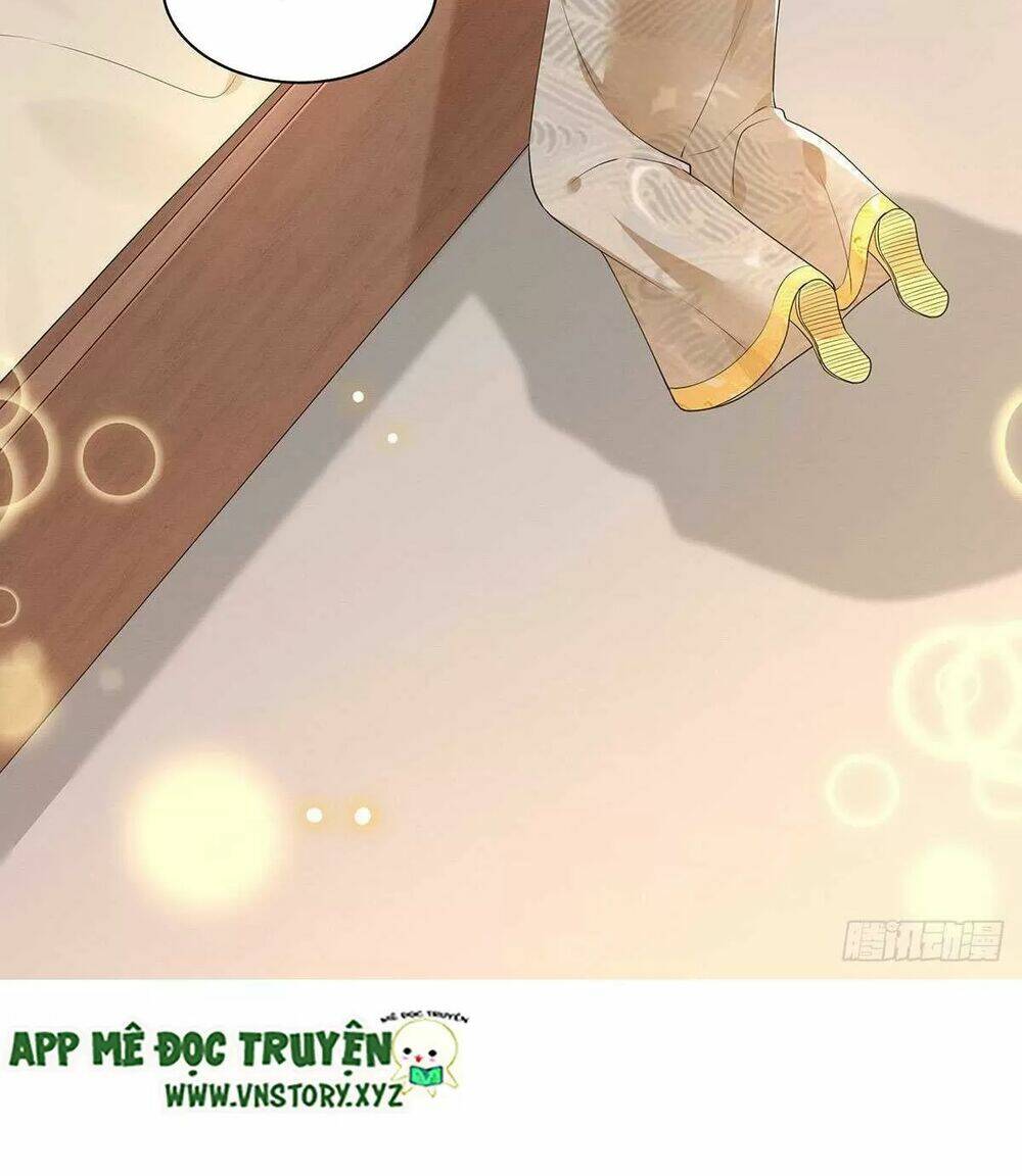 phượng hoàng vu phi chapter 124 24