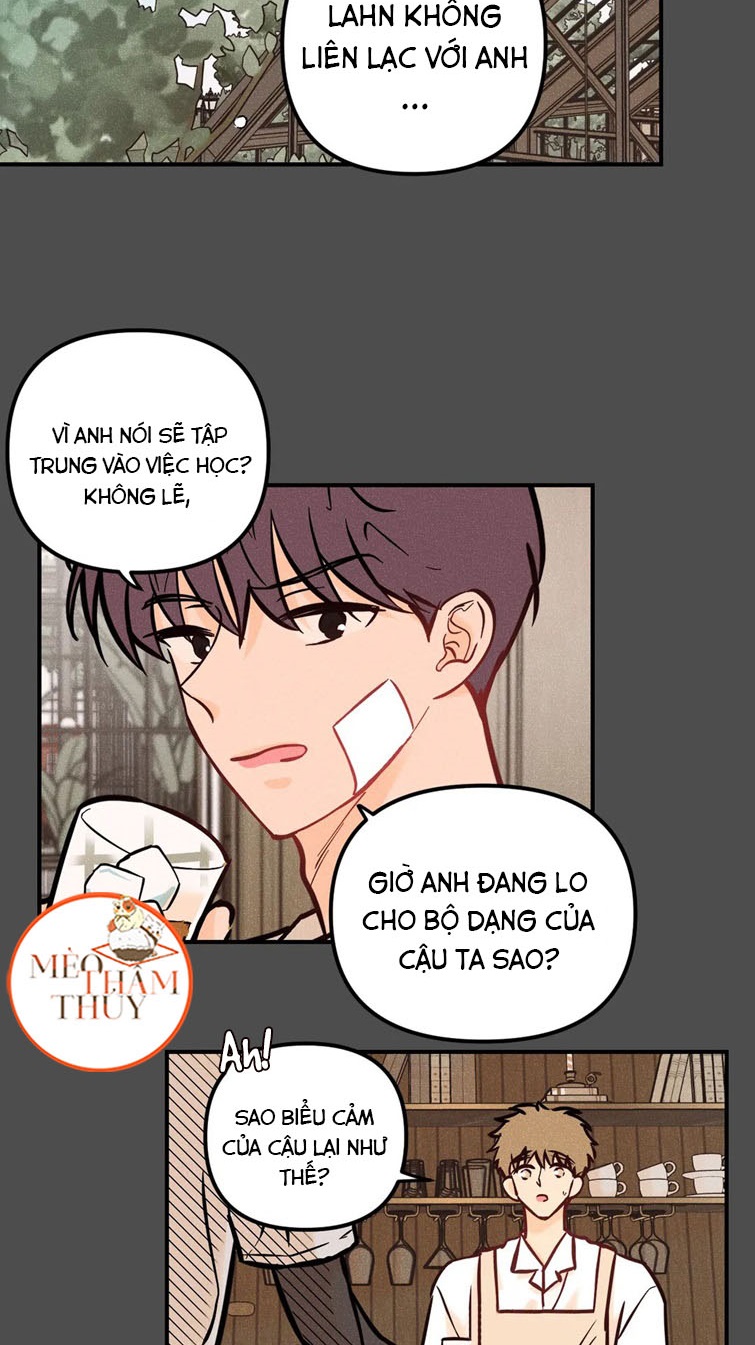 punk dunk funk chapter 38 28