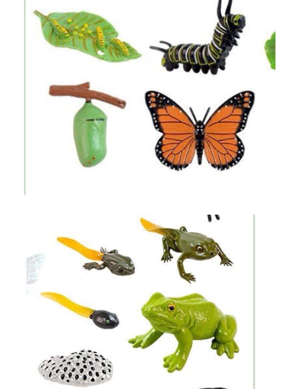 Đồ chơi stem,set đồ chơi mô hình mô phỏng vò.ng đ.ời phát triển của các loại động vật và côn trùng,hàng đẹp