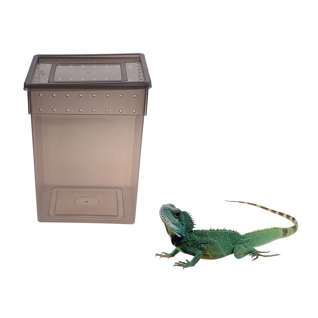 Reptile Feeding Box Transparent Cage Hatching Container for Lizard Frog Black