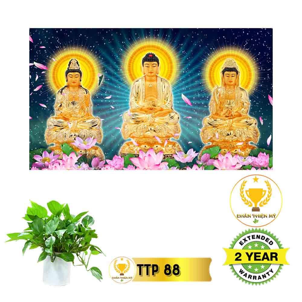 Tranh Tam Thế Phật có khung_TTPK7
