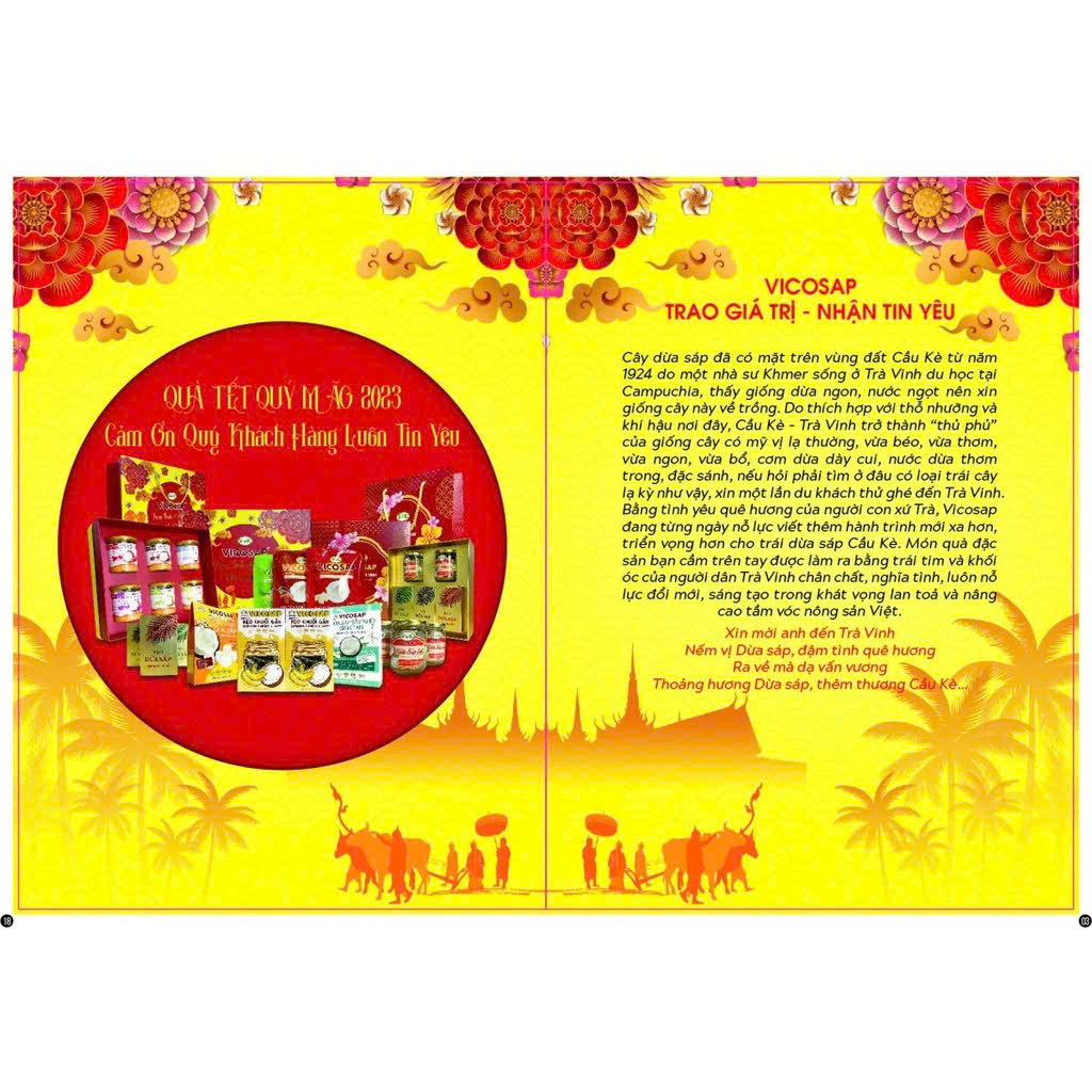 Hộp quà Tết 2025 VICOSAP Trọn Tình Hương Vị Trà Vinh Tinh Hoa Tử Tế Tiết Kiệm các sản phẩm dừa sáp