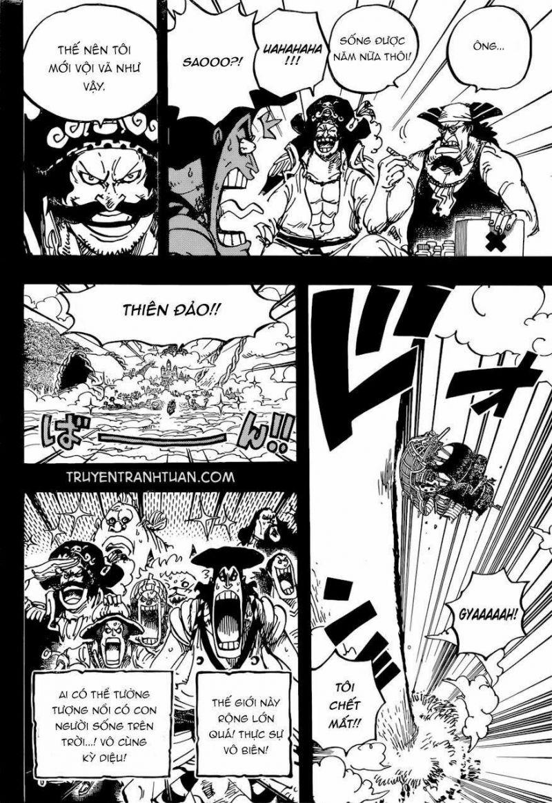 đảo hải tặc - one piece chapter 966 14