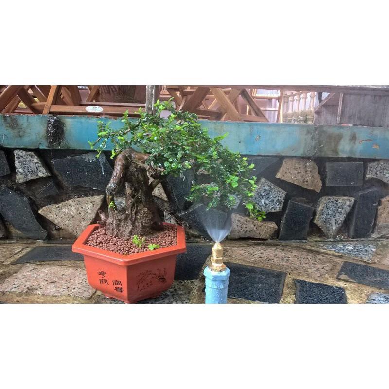COMBO 10 BÉC PHUN SƯƠNG ĐỒNG CHÂN REN 21